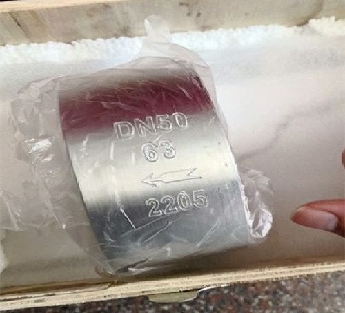 雙相鋼(gāng)2205止回閥